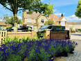 Image 12 for Greengrass Landscape Contractors Ltd