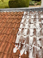 Image 6 for Out of the Gutter Property Cleaning & Maintenance Solutions