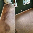Image 10 for UK Carpet Care Limited - Ipswich Carpet Care