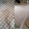 Image 12 for UK Carpet Care Limited - Ipswich Carpet Care