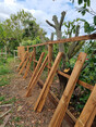 Image 9 for J. Firman Trees and Fences Limited